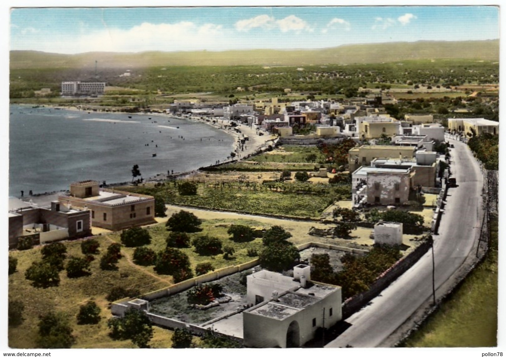 FASANO - TERME TORRE CANNE - GOLFO - BRINDISI - 1962 - Brindisi