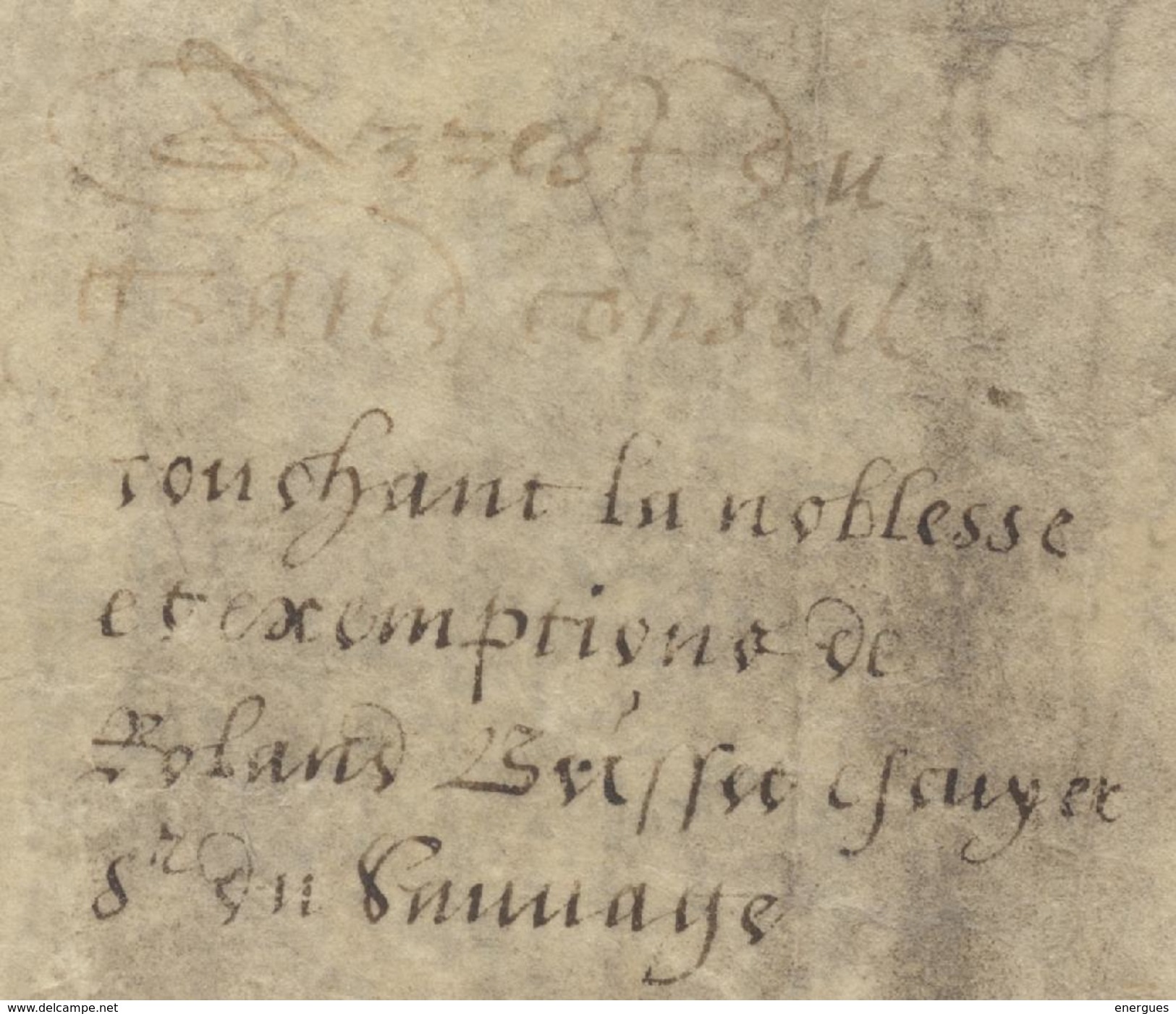 Parchemin,1589,Tours, Arrêt Conseil Du Roi, Noblesse  Exemptions, De Brisset écuyer,seigneur De Tunnaye, Bailly, Tallion - Documents Historiques
