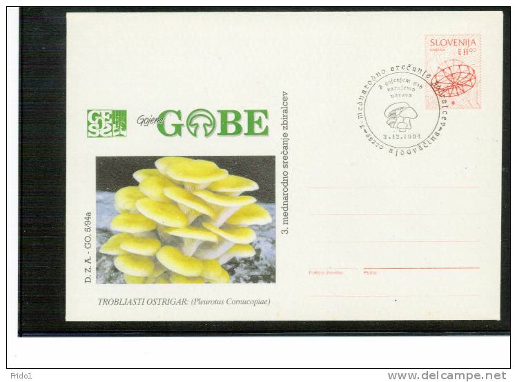 Slowenien / Slovenia 1994 Pilze Ganzsache Brief / Mushrooms Postal Stationery Letter - Pilze