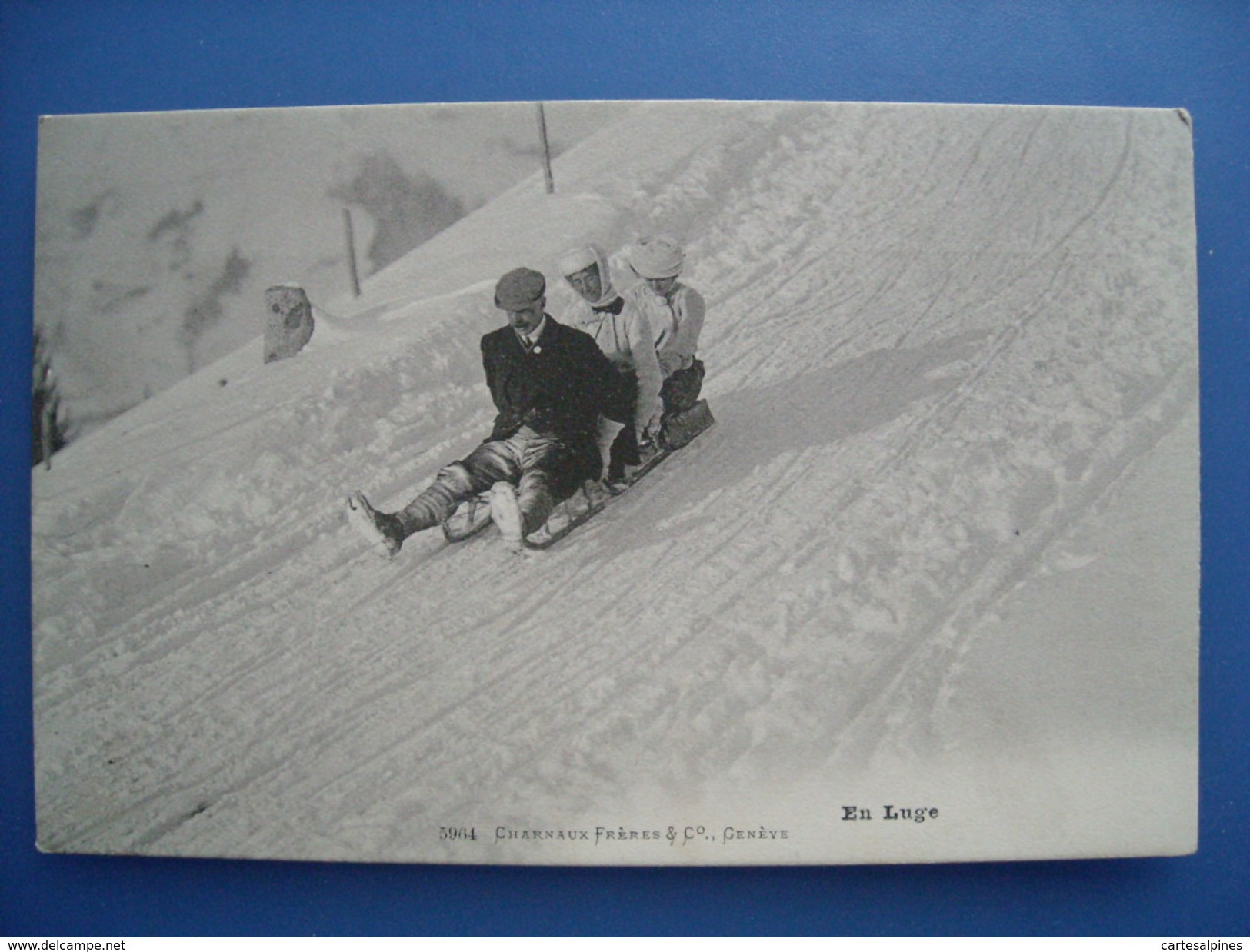 En Luge. Carte Neuve éditée Par Charnaux à Genève Vers 1910. Etat LUXE. - Sports D'hiver