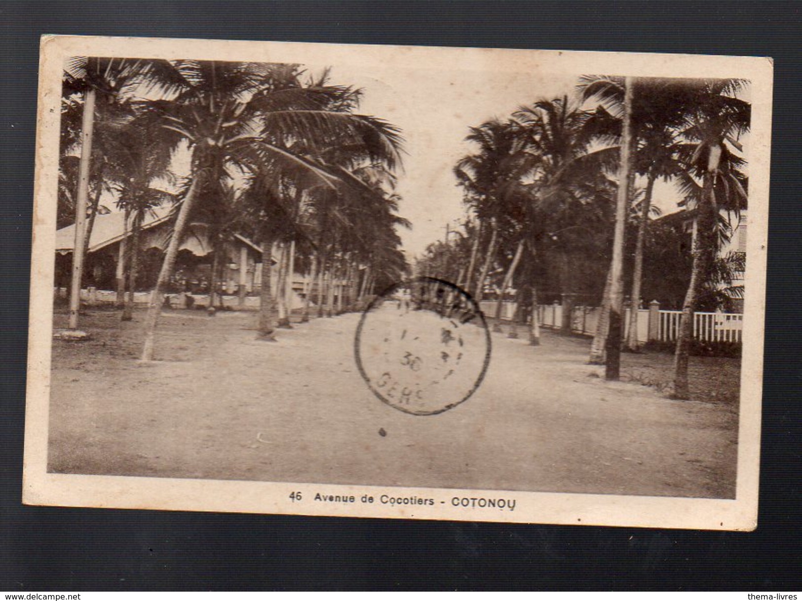 Cotonou (dahomey) Avenue Des Cocotiers (voyagé 1936) (PPP5056) - Dahomey