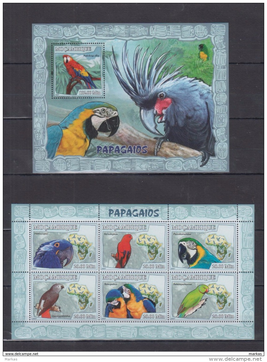 E40 Mozambique - MNH - Birds - Parrots - 2007 - Papageien