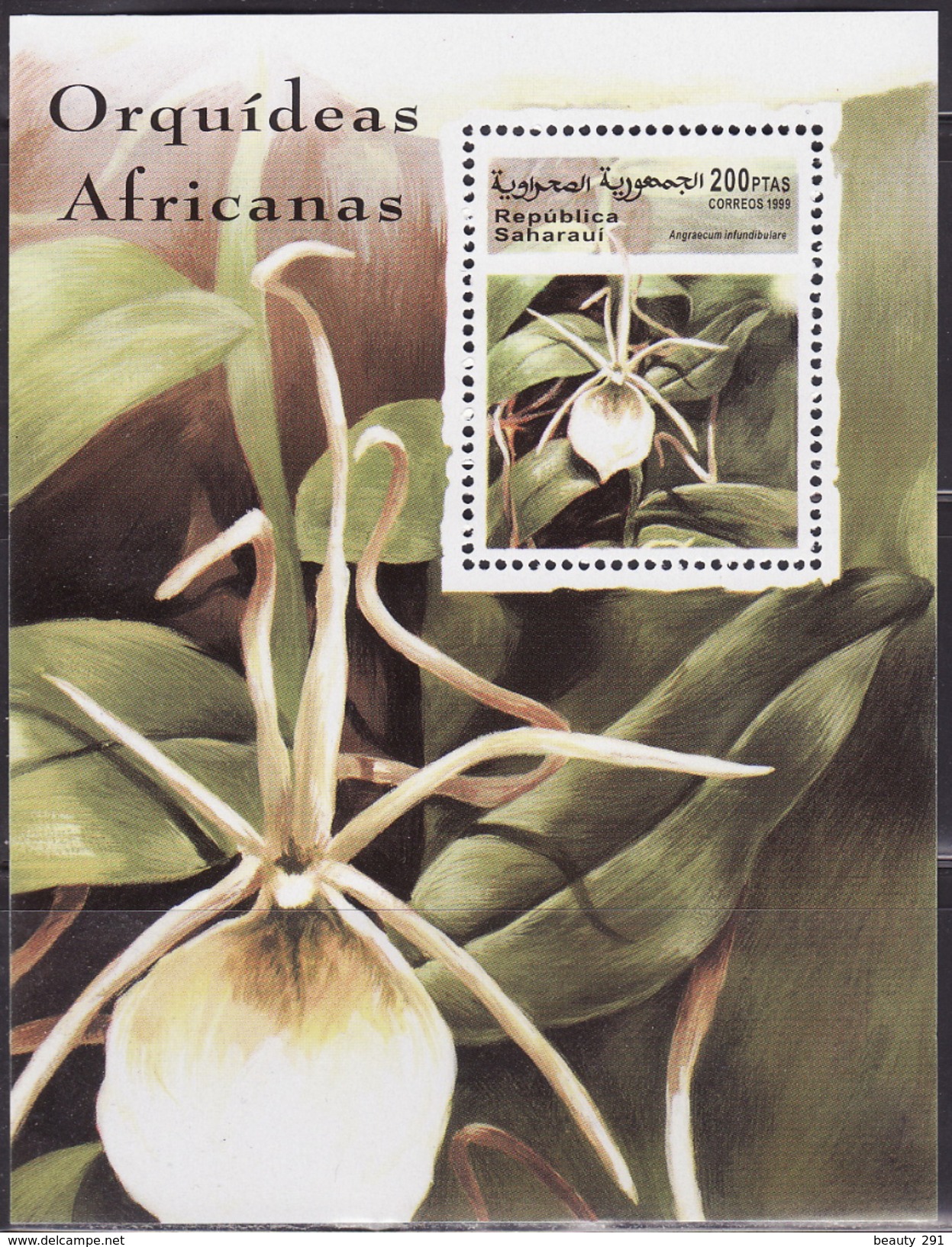 SAHARA,REPUBLICA SAHARAUI, 1999  ORCHIDS,FLOWERS    MNH** - Orchideen