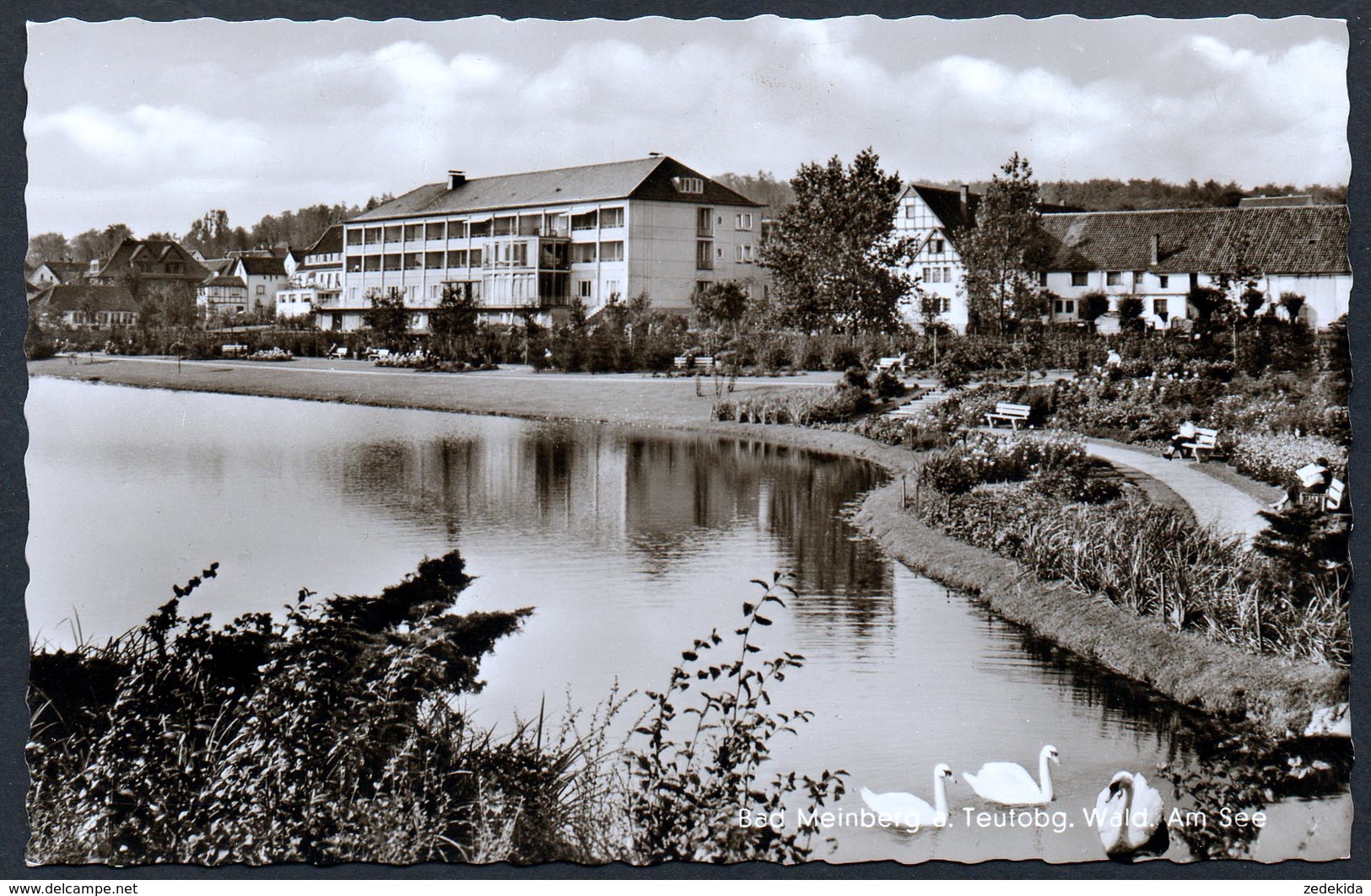 A4507 - Alte Foto Ansichtskarte - Bad Meinberg - Am See - Mische -  TOP - Bad Meinberg