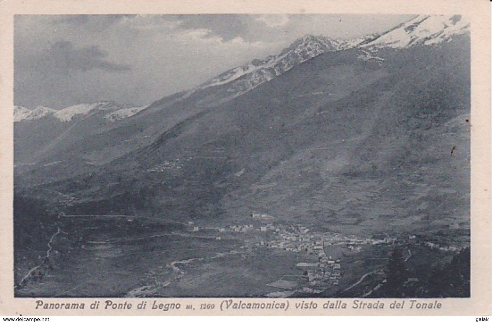 N8 PANORAMA DI PONTE DI LEGNO (Valcamonica)  VISTO DALLA STRADA DEL TONALE - Brescia