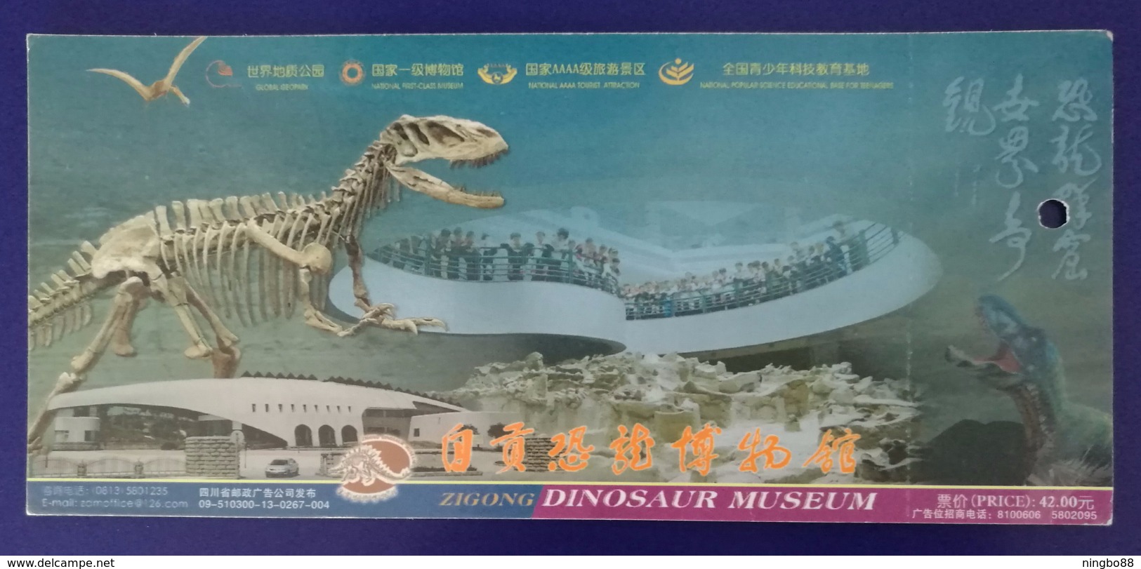 Dashanpu Dinosaur Fossil Burial Site Museum,China 2009 World Geopark Zigong Dinosaur Museum Ticket Pre-stamped Card - Fossilien