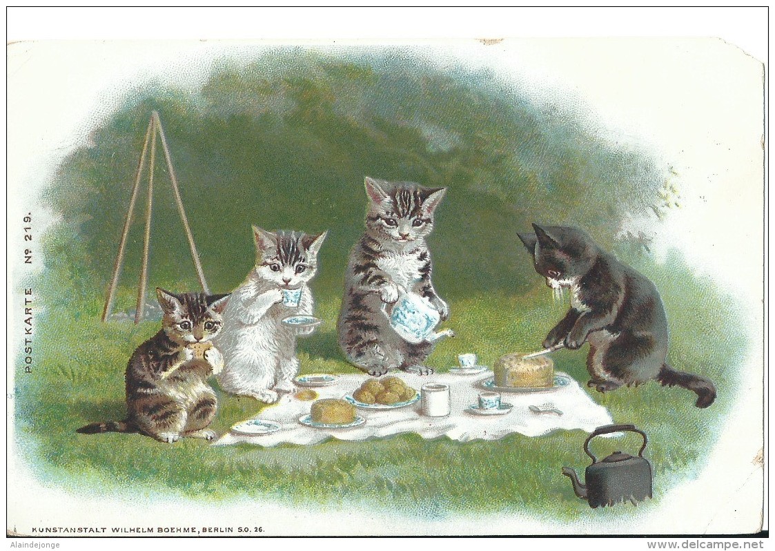 Kat Cat Katzen Chat Wilhelm Boehme - Chats