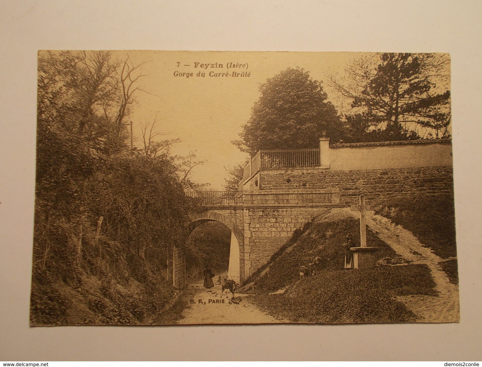 Carte Postale -  FEYZIN (38) - Gorge Du Carré Brûlé (212/130) - Feyzin