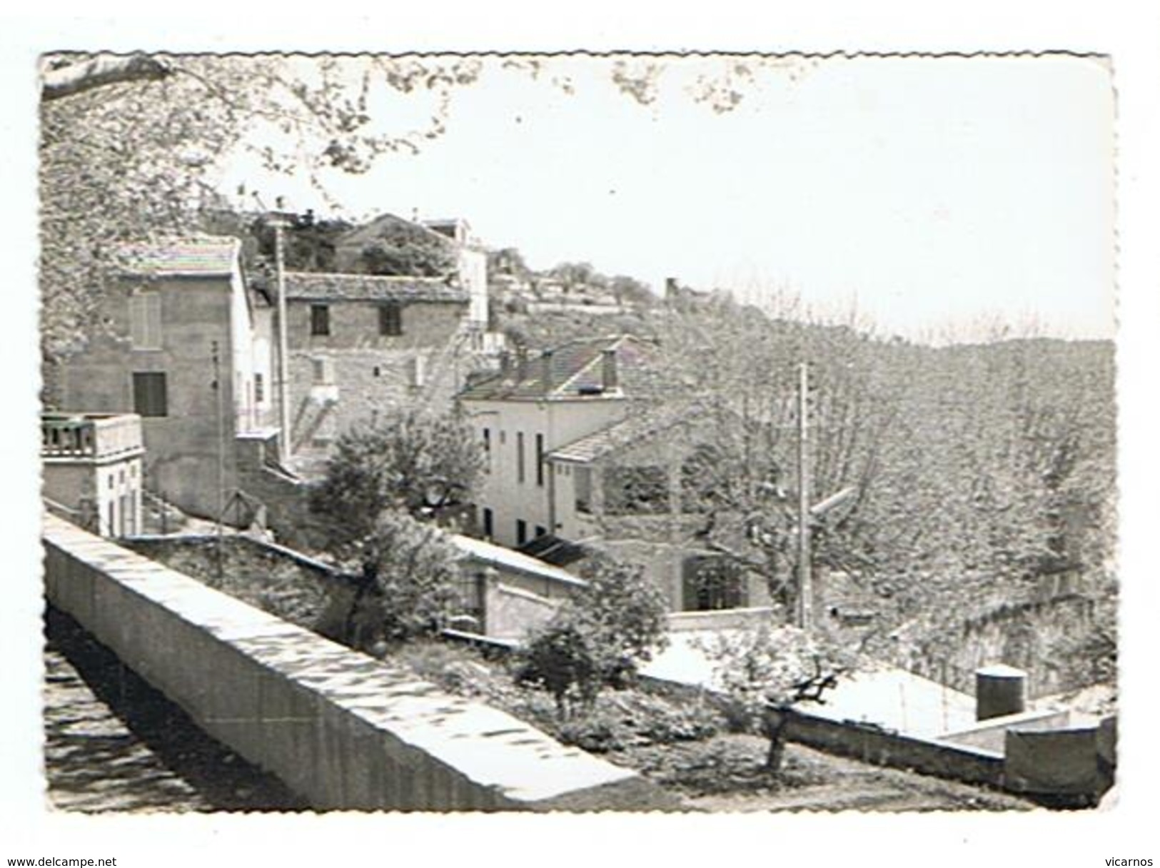 CPSM 83 MONTAUROUX Les écoles - Montauroux