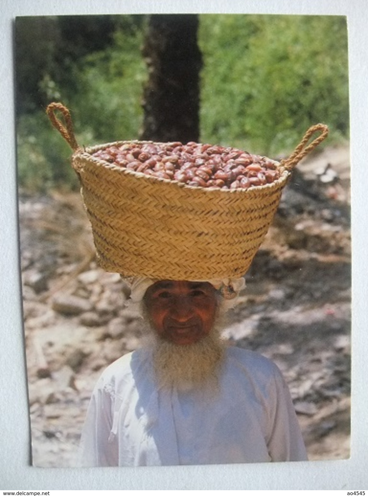 L58 Postcard Oman - Dates Of Oman - Oman