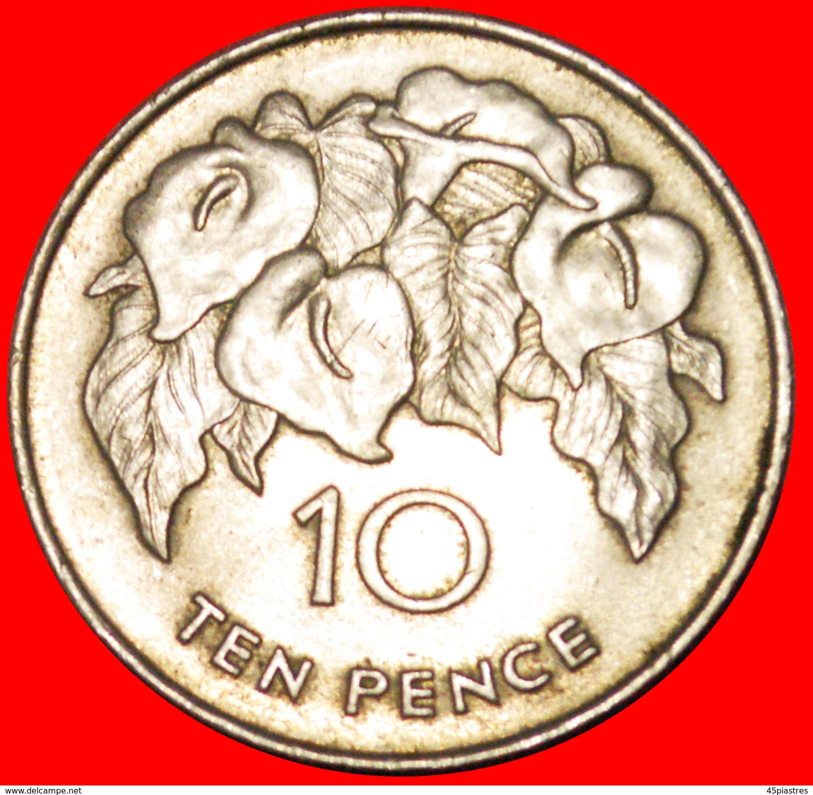 § ORCHIDS: ST. HELENA & ASCENSION &#x2605; 10 PENCE 1984! LOW START&#x2605; NO RESERVE! - Sint-Helena