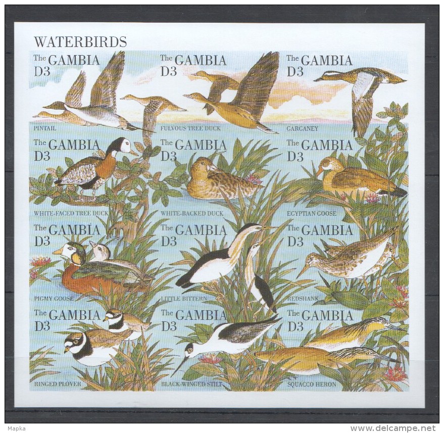 OO116 IMPERFORATE GAMBIA FAUNA WATERBIRDS KB MNH - Entenvögel