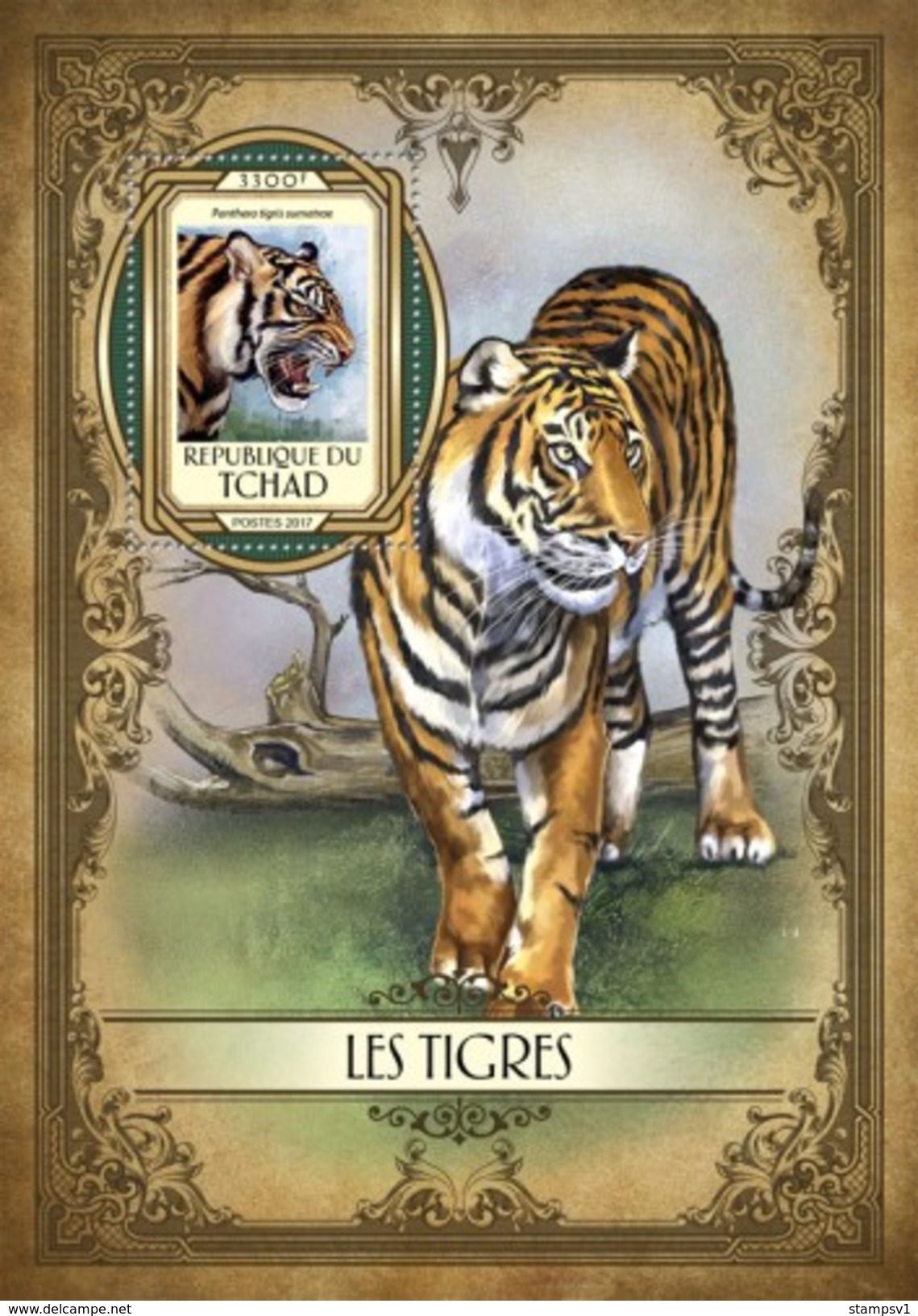 Tchad. 2017 Tigers. (116b) - Raubkatzen