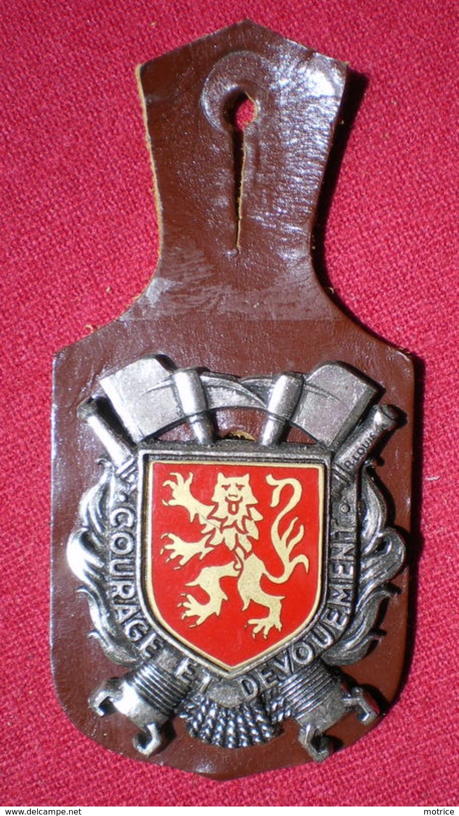 INSIGNE POMPIERS (pucelle)     SAPEURS POMPIERS Département De L'Aveyron (12). - Feuerwehr