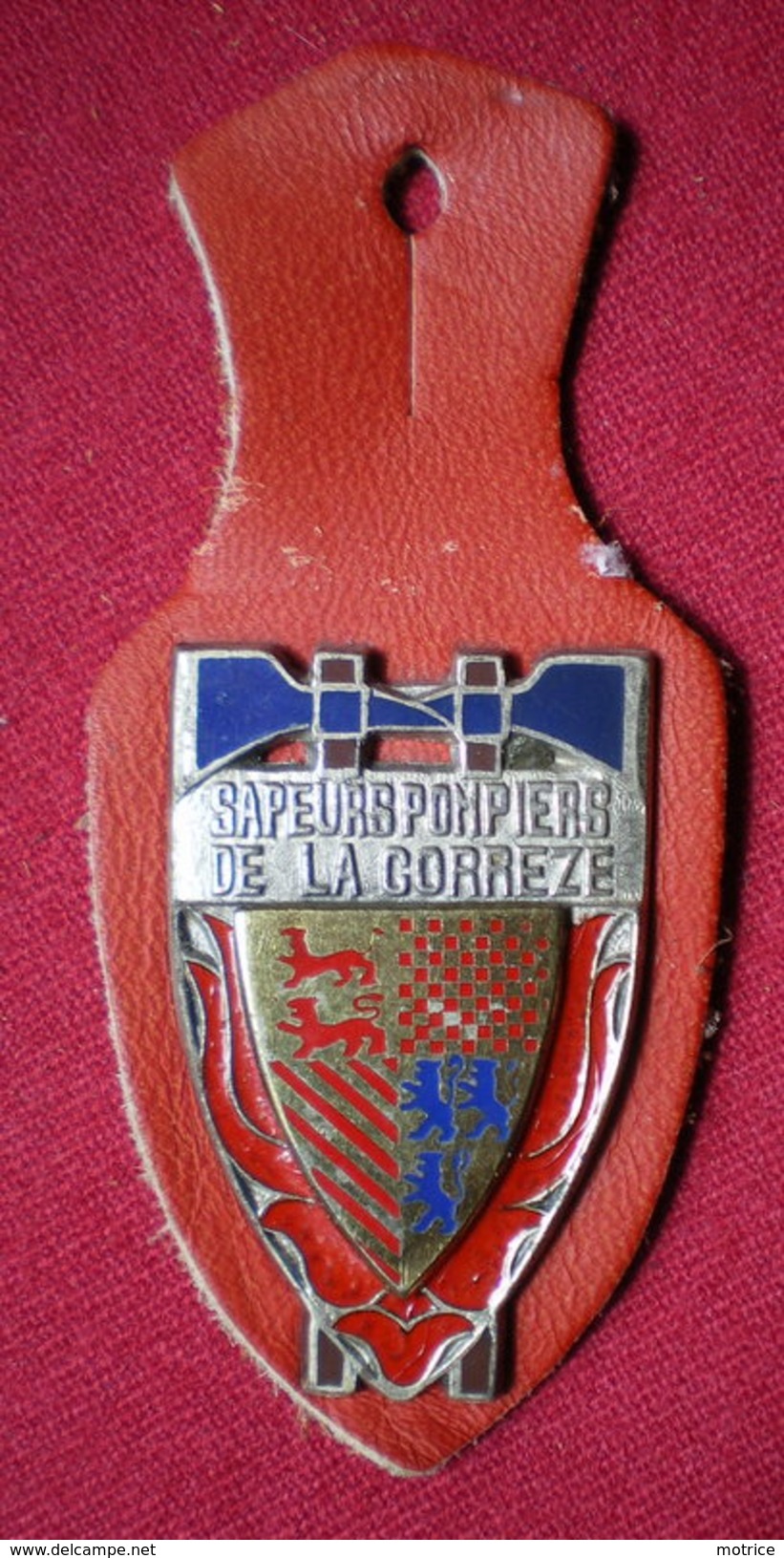 INSIGNE POMPIERS (pucelle)     SAPEURS POMPIERS Département De La Corrèze(19). - Pompiers