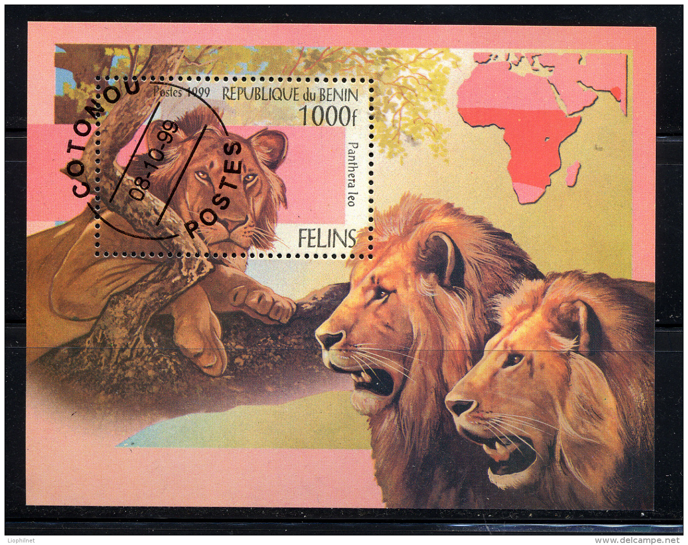 BENIN 1999, LIONS,  1 Bloc,  Oblitérée/ Used. R1353 - Raubkatzen