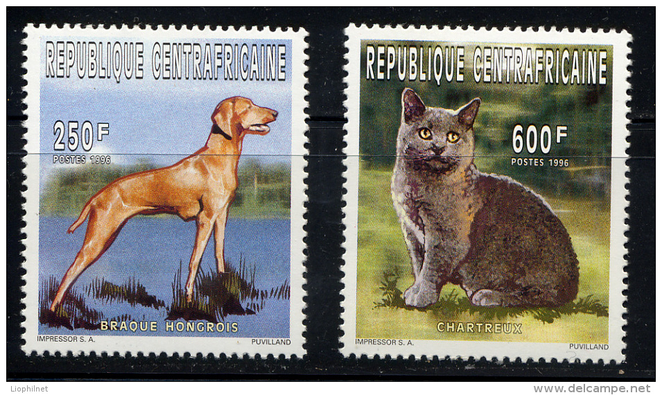 CENTRAFRIQUE 1996, CAT CHARTREUX Et CHIEN BRAQUE HONGROIS, 2 Valeurs, Neufs / Mint. R930 - Hauskatzen