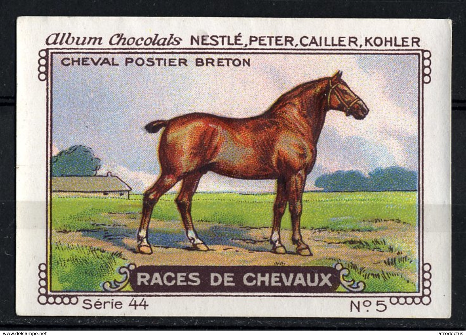 Nestlé - 44 - Races De Chevaux, Horses - 5 - Cheval Postier Breton - Nestlé