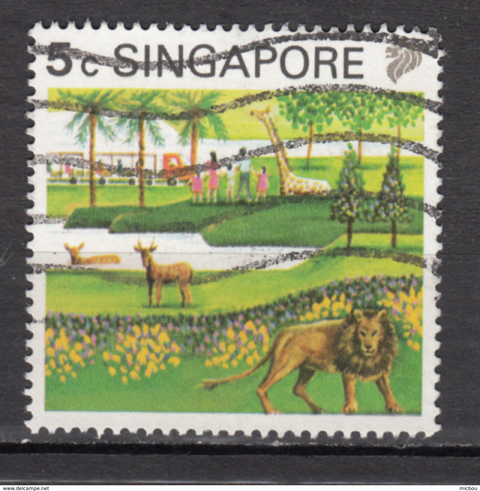 Singapoure, Zoo, Lion, Félin, Wildcat, Girafe, Giraffe, Train, Gibier - Raubkatzen