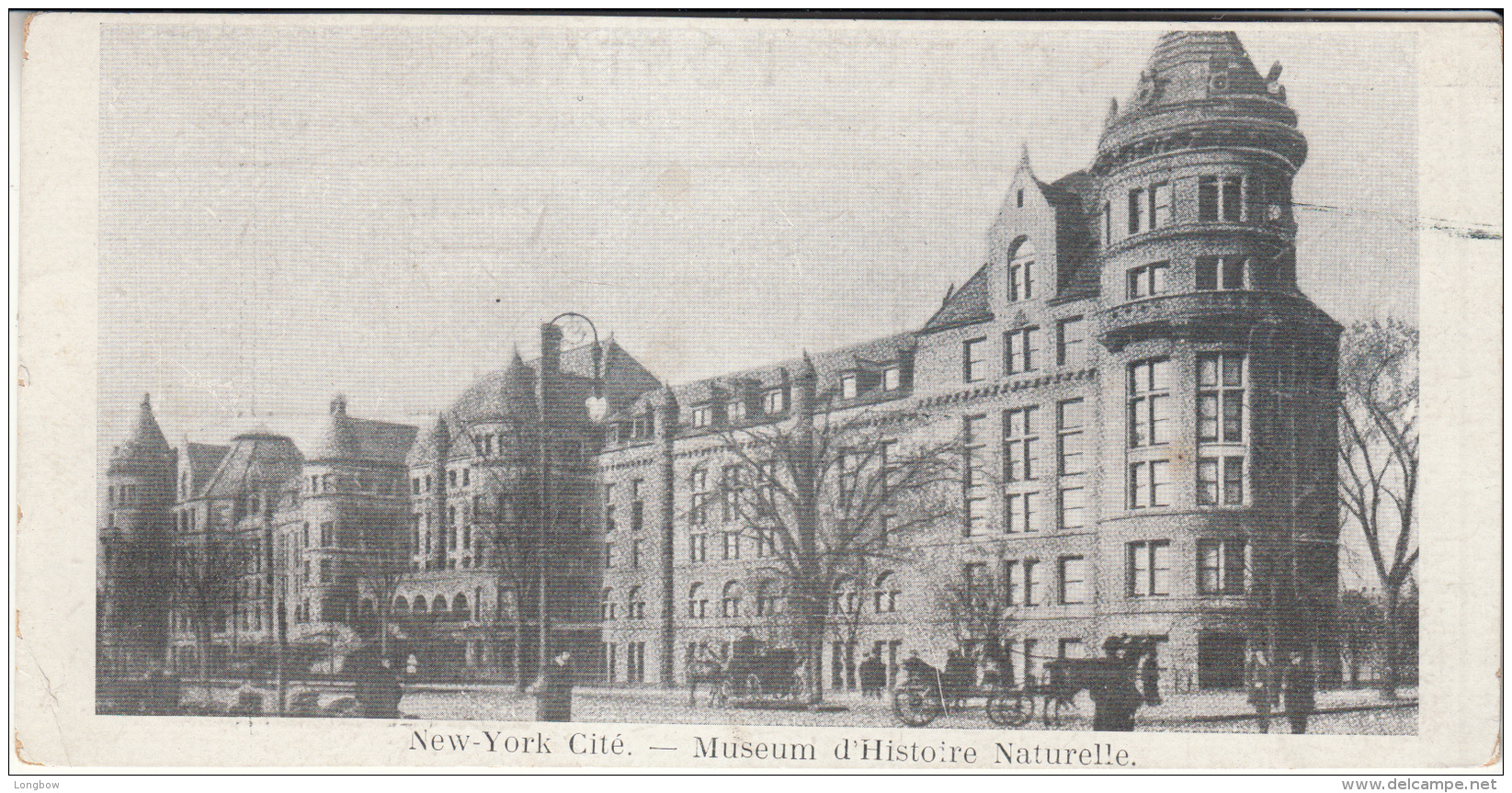 New York City Museum D'Histoire Naturelle - Museen