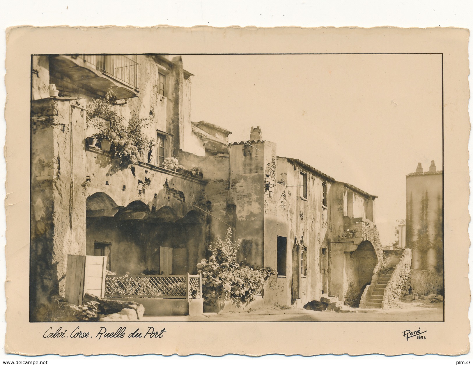 CALVI - Ruelle Du Port - Calvi