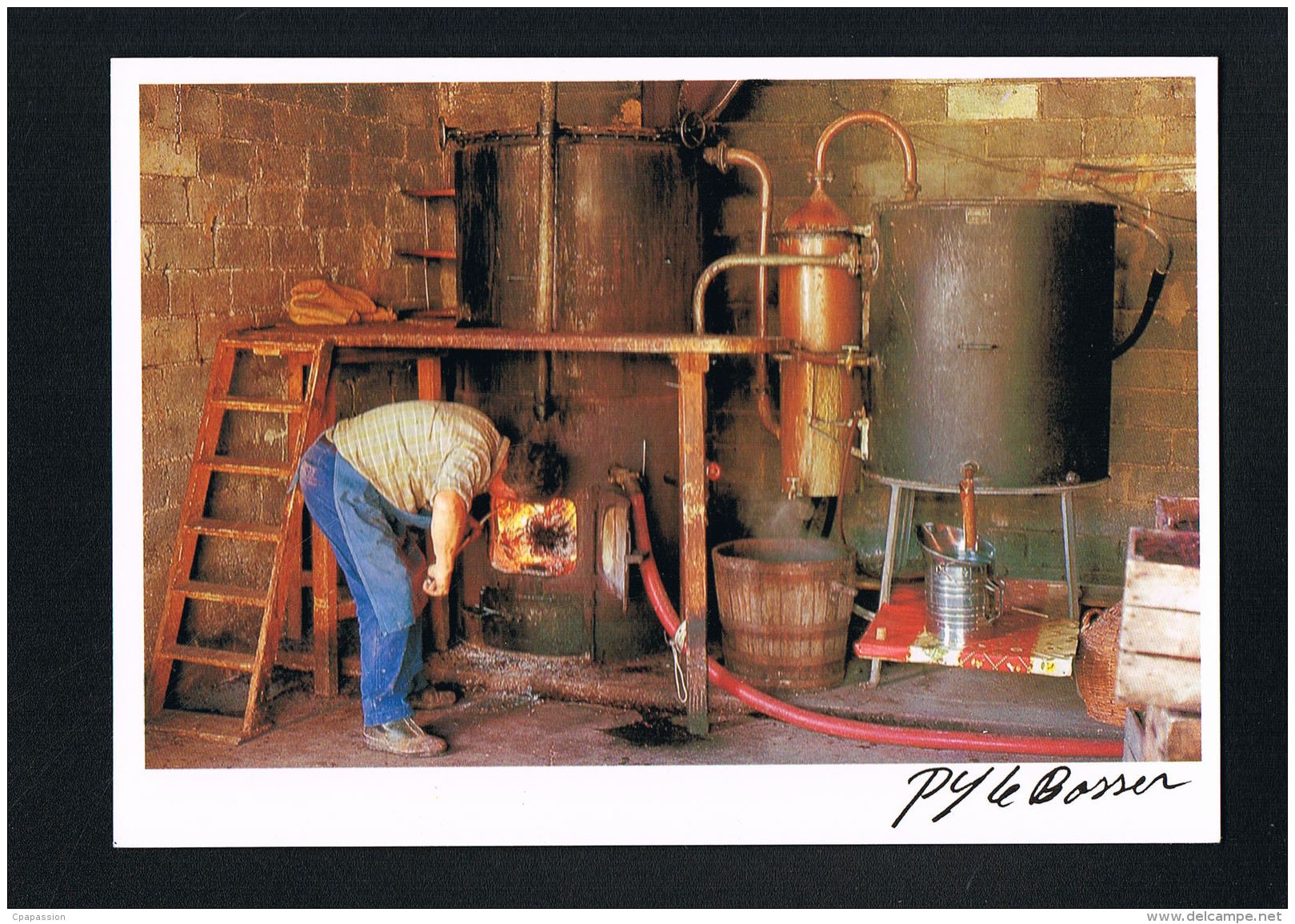 ATELIER De BOUILLEUR De CRU- BUIS - Photo LE BOSSER 1988- Recto Verso- Paypal Sans Frais - - Weinberge