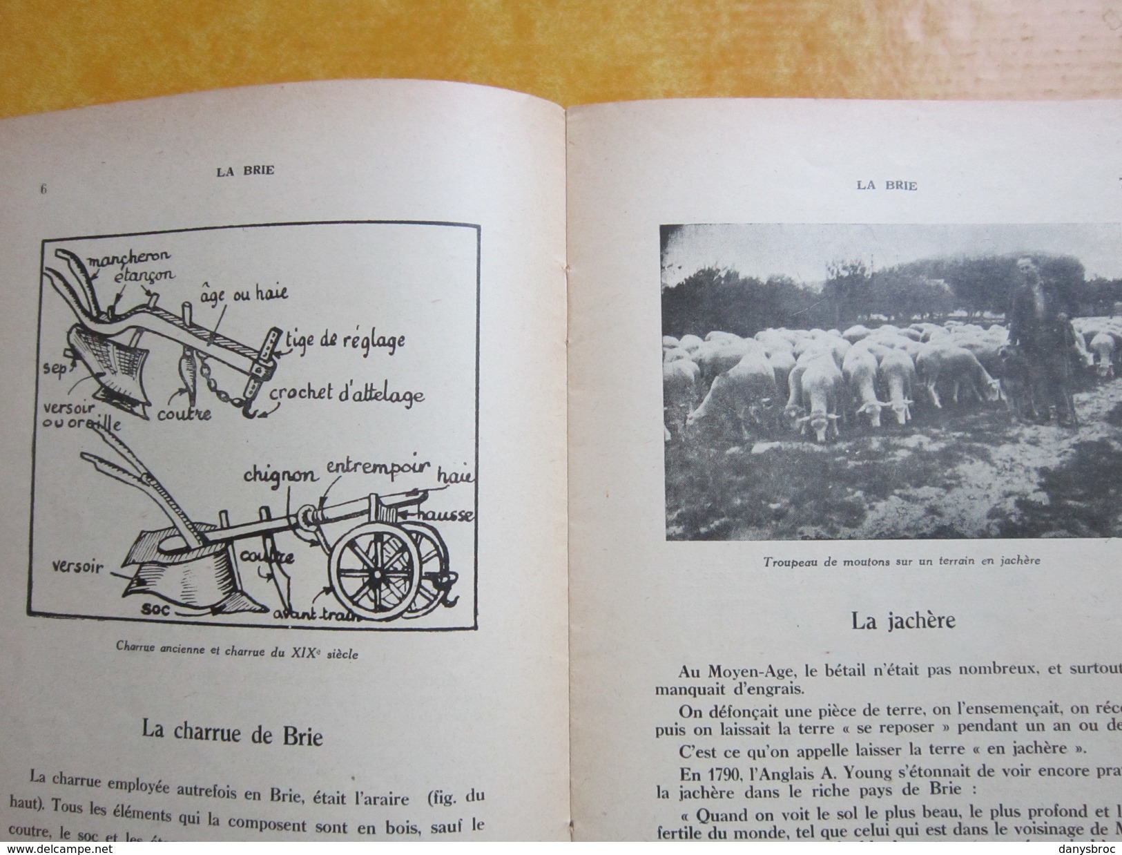 B.T. N°72 / LA BRIE, Terre à Blé / Bibliothèque De Travail Avec Illustrations / 15/04/1949 Dessins J.ROUSSEAU à Ch... - Ciencia