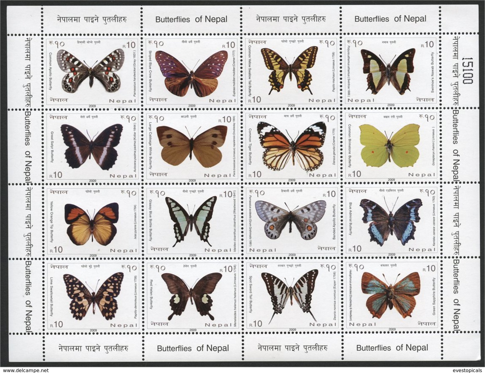 NEPAL, SUPERB MINISHEET BUTTERFLIES FROM 2009 MNH - Népal