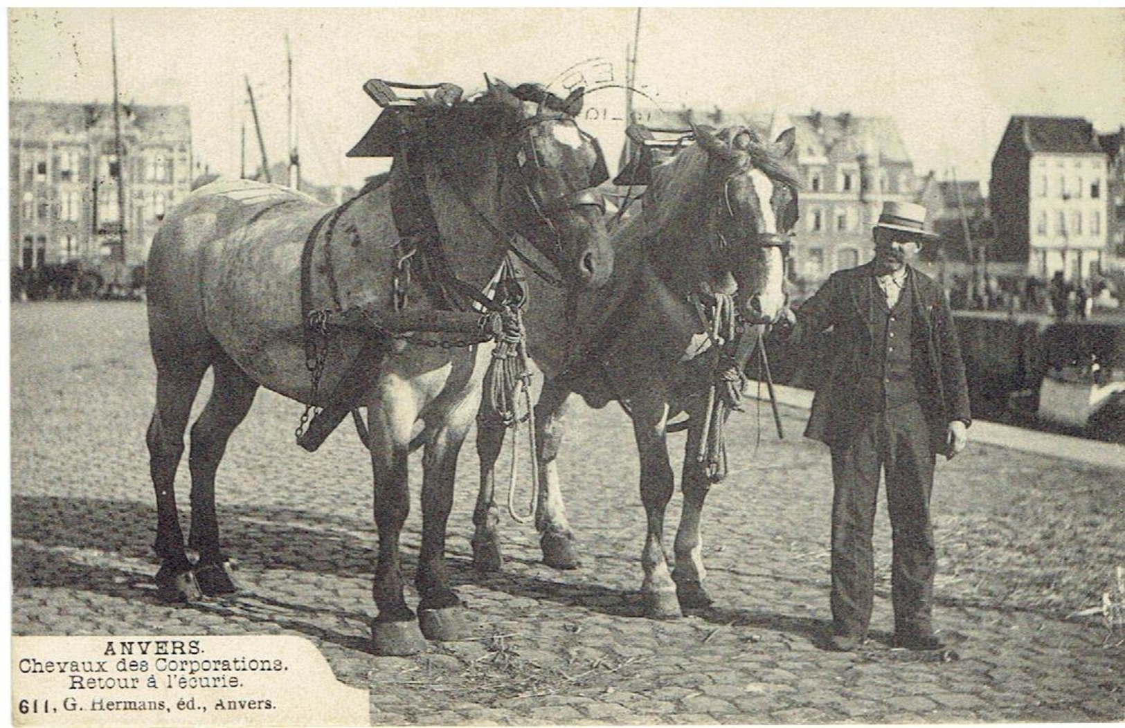 ANVERS - Cheveaux Des Corporations - Retour à L' écurie - N° 611 G. Hermans - Antwerpen