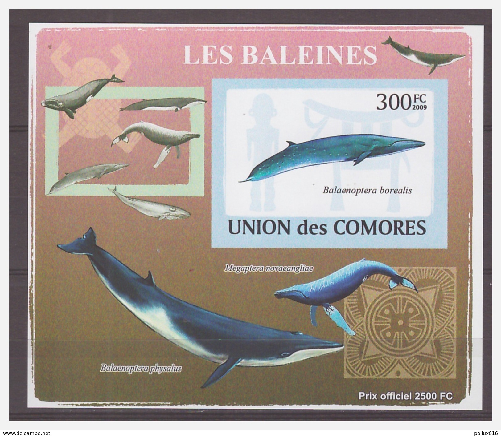 0181 Comores 2009 Walvis Whale S/S MNH Imperf - Wale