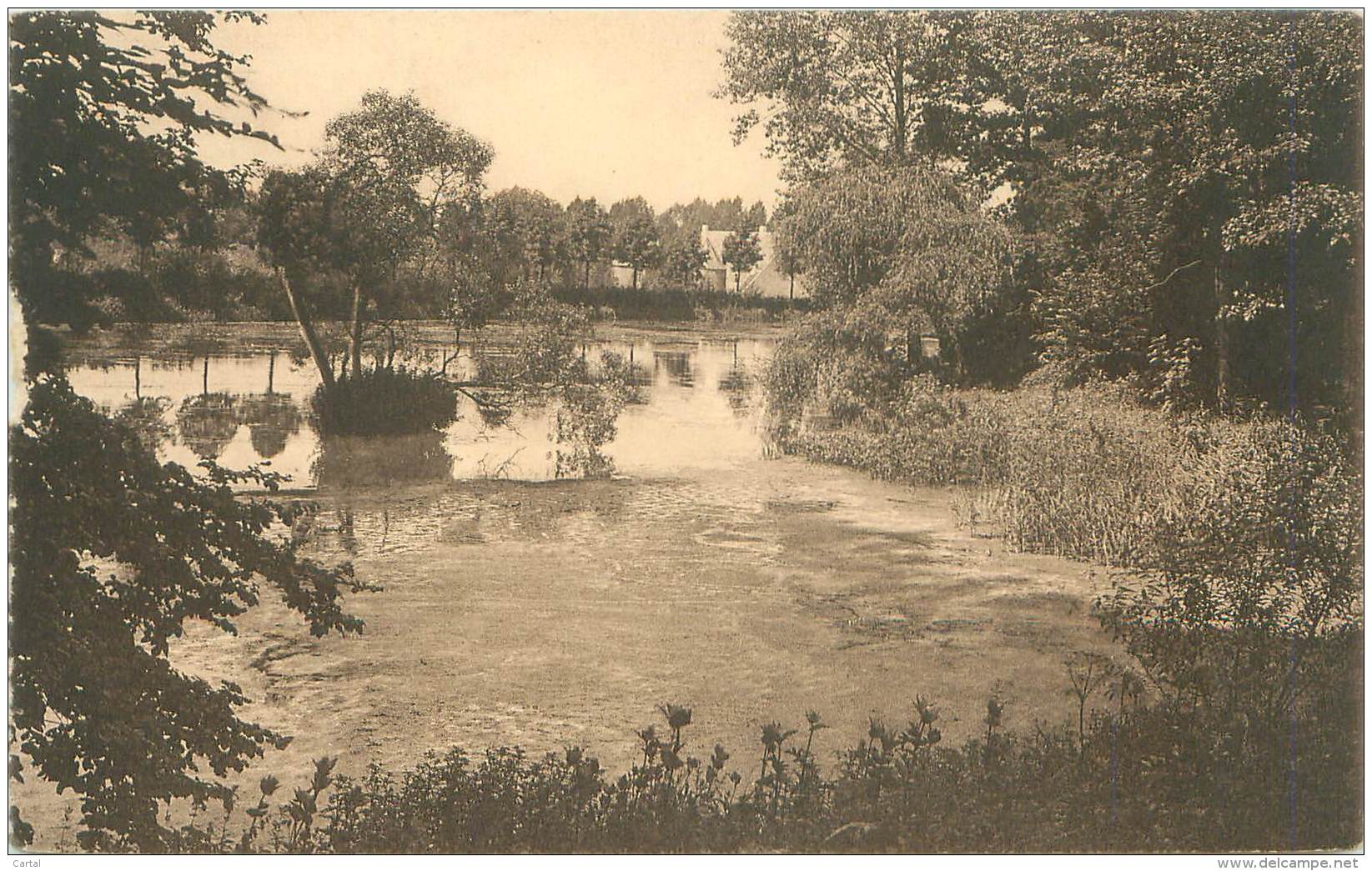 Château De GAESBEEK-lez-BRUXELLES - Le Grand étang Dit : "L'étang Tortu" - Lennik