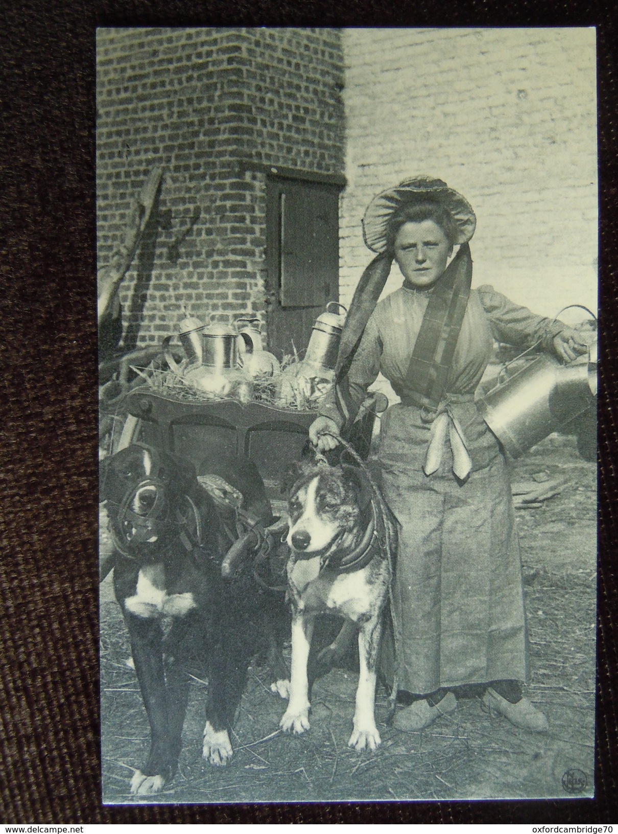 Carte Repro D Une Laitière Et Sa Voiture à Chien - Vendedores Ambulantes