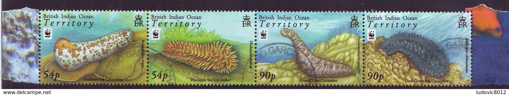 2008 WWF Bande De Timbres Concombre Des Mers Oblitérée / Strip Of Stamps Sea Cucumber Cancelled - Territoire Britannique De L'Océan Indien