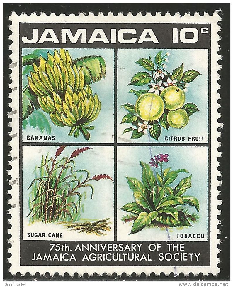 524 Jamaica Bananas Bananes Sucre Sugar Zucker Tabac Tobacco Yabak (J-JAM-124) - Ernährung