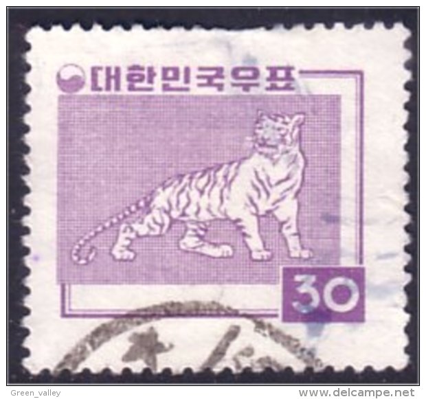 550 Korea Tigre Tigger Tiger (K-KOS-64) - Raubkatzen