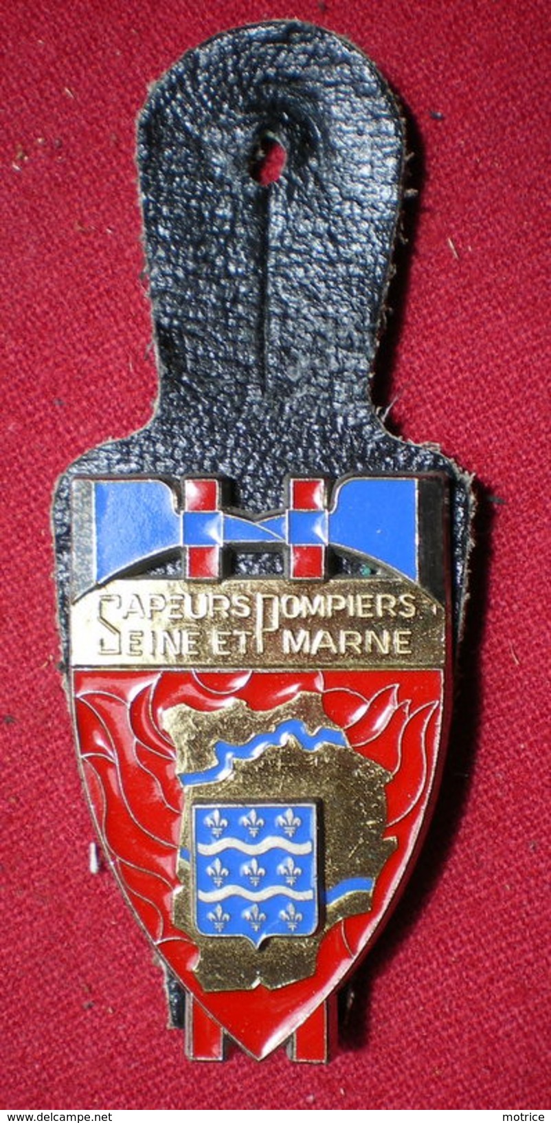 INSIGNE POMPIERS (pucelle)     SAPEURS POMPIERS Département De Seine Et Marne (77) - Firemen