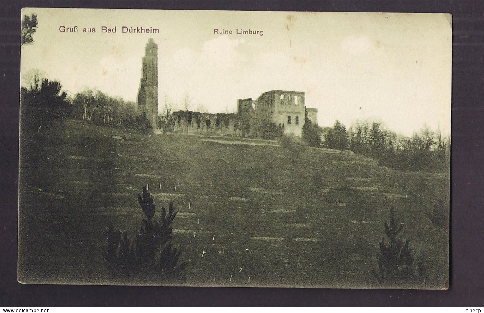 CPA ALLEMAGNE - BAD DÜRKHEIM - GRUSS AUS - Ruine Limburg - TB PALN Château + Jolie Oblitération Verso - Bad Duerkheim