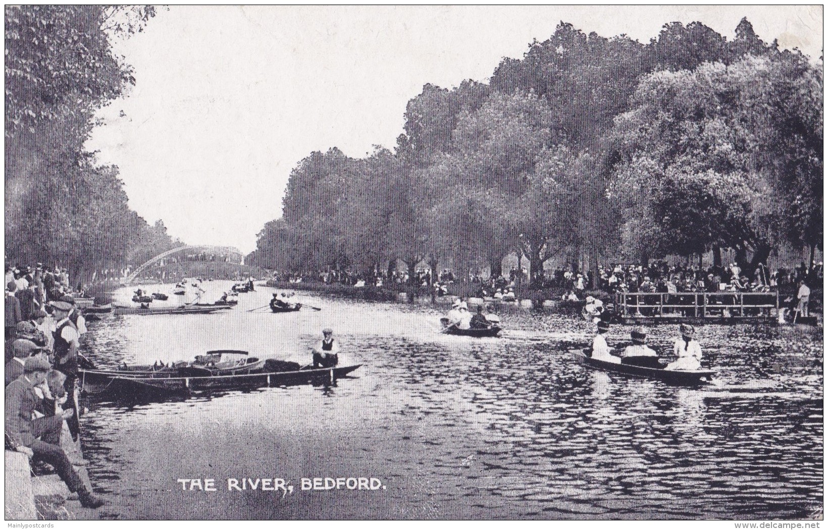 AP83 The River, Bedford - Animated, Rowing Boats - Bedford