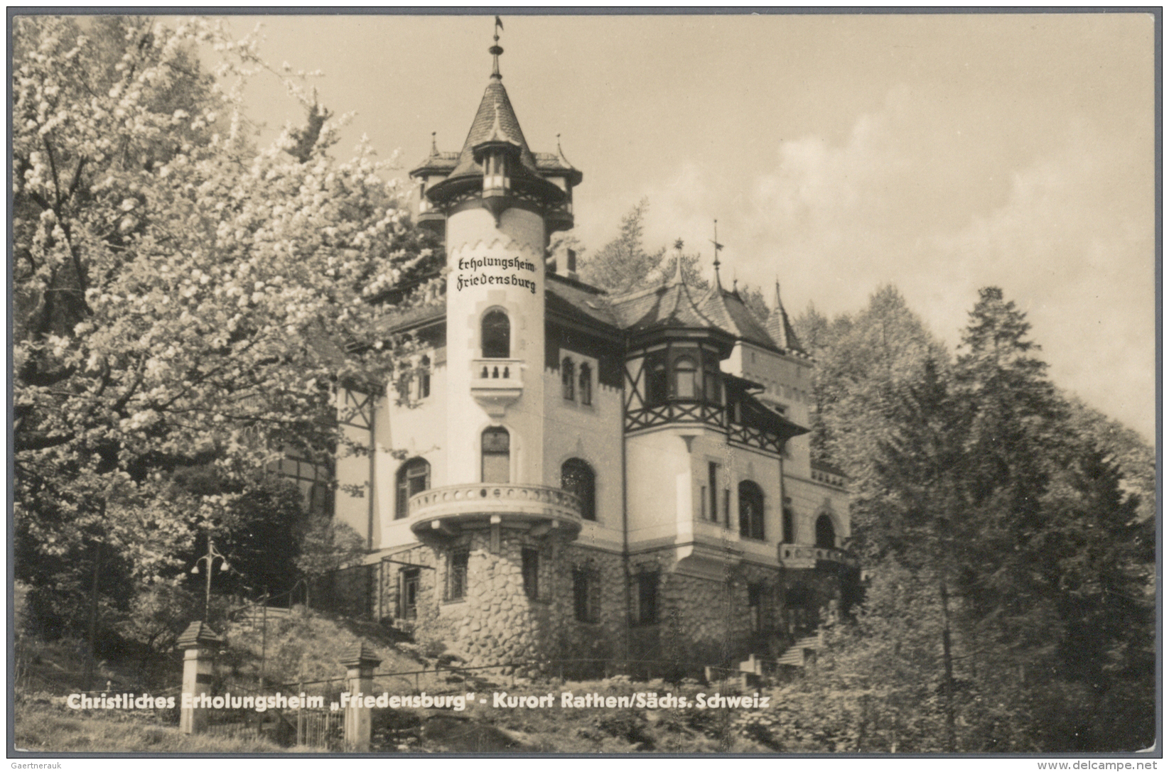 Ansichtskarten: Sachsen: BAD SCHANDAU Und Umgebung (alte PLZ 832) Mit U.a. Pfaffendorf, Rosenthal, Sch&ouml;na, Schmilka - Andere & Zonder Classificatie