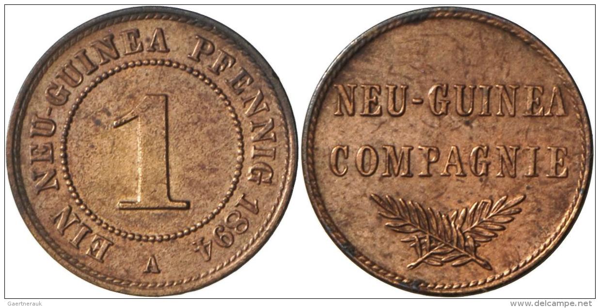 Deutsch-Neuguinea: 1 Neu-Guinea Pfennig 1894 A, Jaeger 701, Sehr Sch&ouml;n-vorz&uuml;glich - Deutsch-Neuguinea