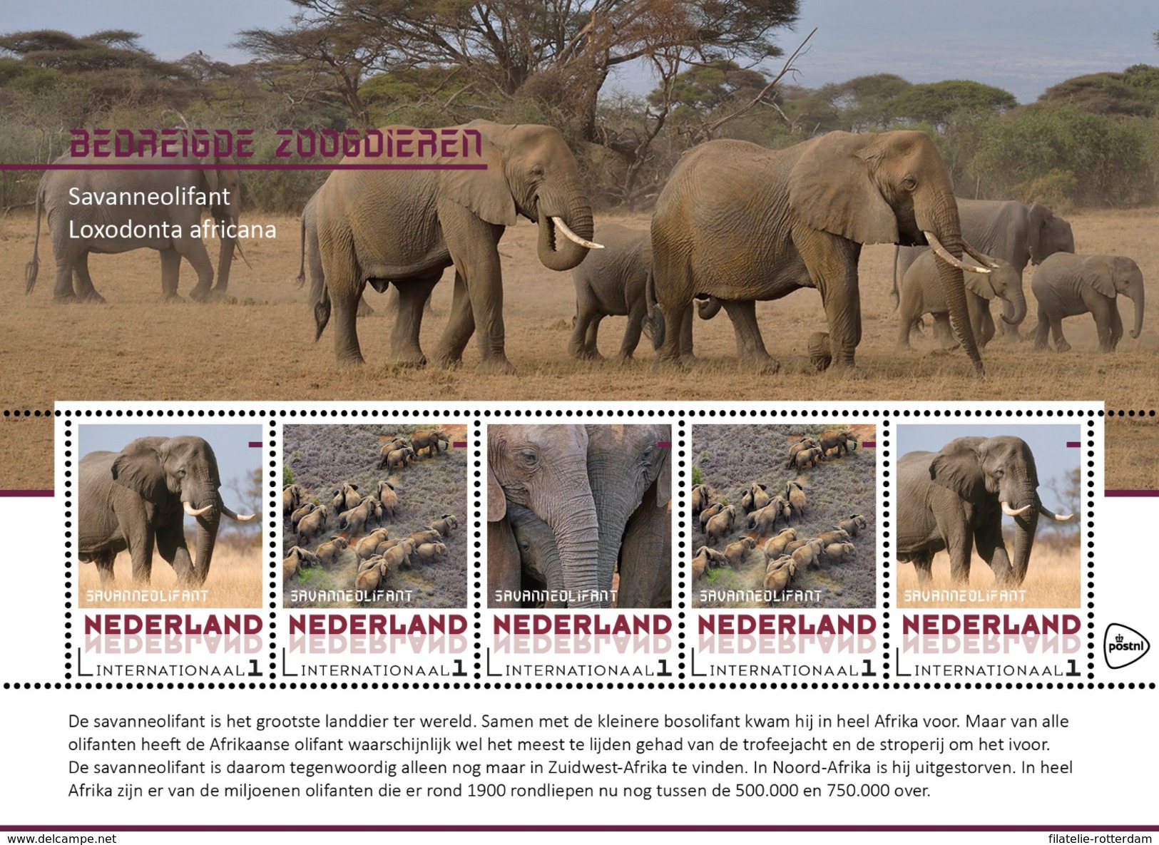 Nederland / The Netherlands - Postfris / MNH - Sheet Bedreigde Dieren, Olifant 2017 - Ongebruikt