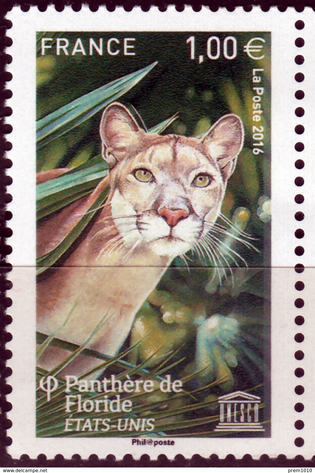 FRANCE- 2016- Big Cats- FLORIDA PANTHER- Gros Chats- Grosse Katzen- - Raubkatzen
