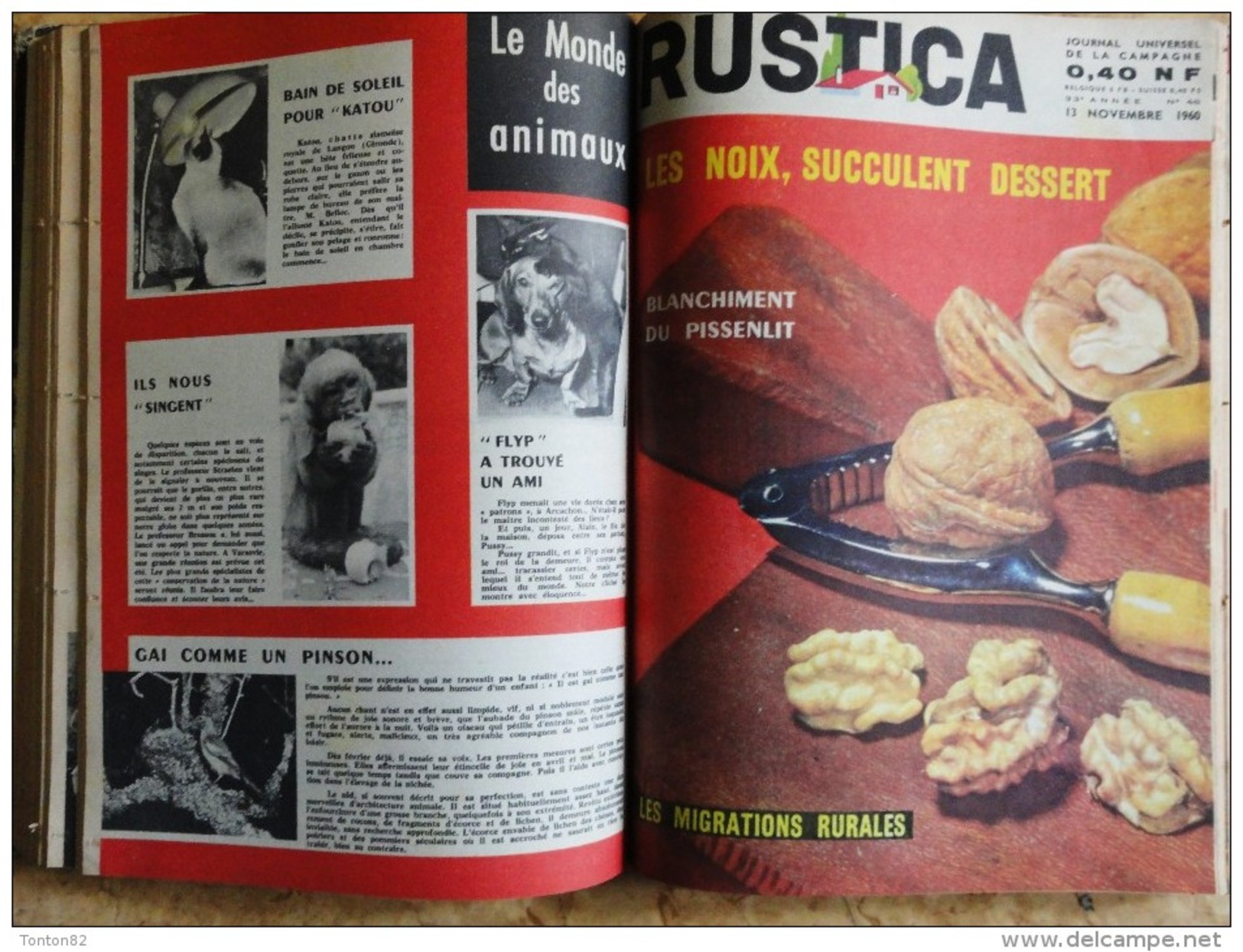 RUSTICA - Album n° 21 - ( Année 1960  / 1961  )