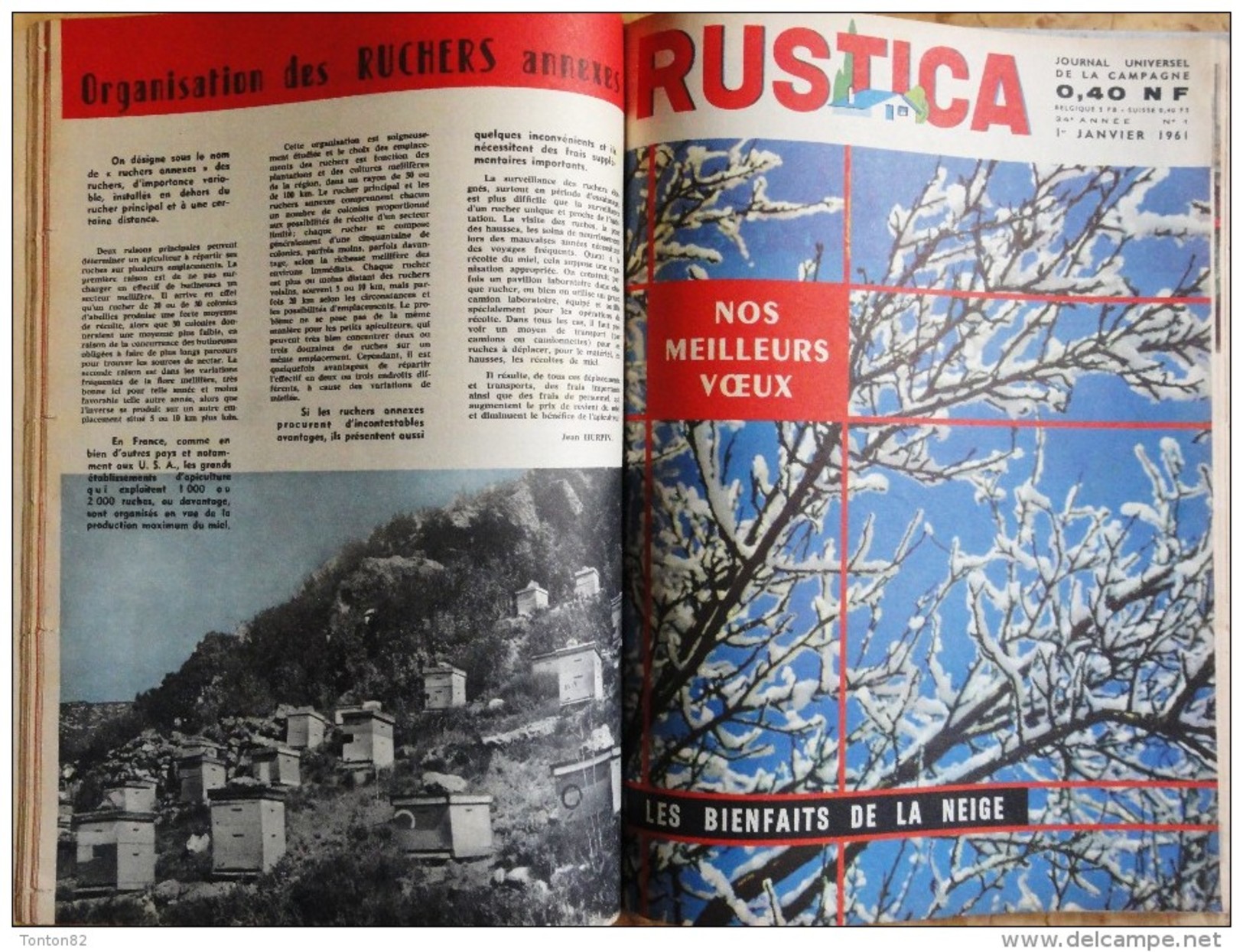 RUSTICA - Album n° 21 - ( Année 1960  / 1961  )