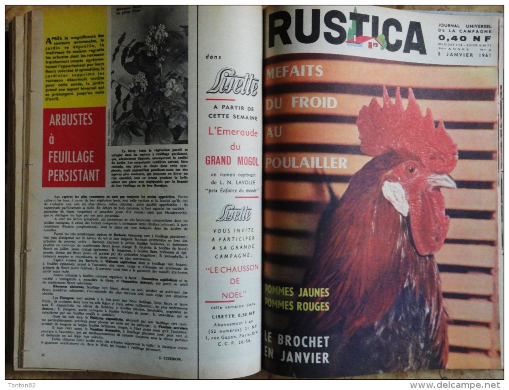 RUSTICA - Album n° 21 - ( Année 1960  / 1961  )