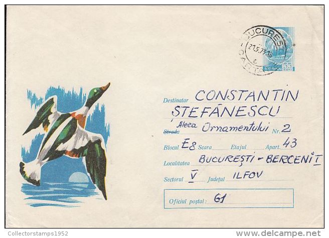 60765- COMMON SHELDUCK, BIRDS, POSTCARD STATIONERY, 1973, ROMANIA - Entenvögel