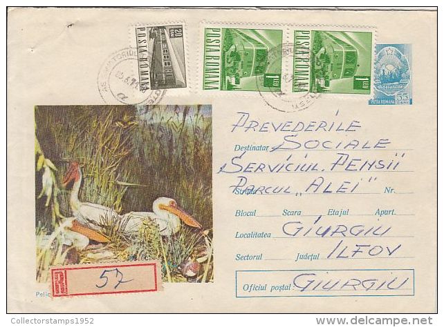 60774- PELICAN, BIRDS, REGISTERED COVER STATIONERY, 1971, ROMANIA - Pelikane