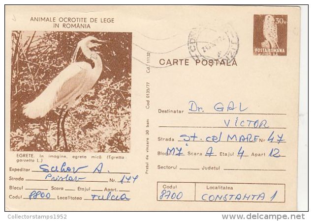 60779- LITTLE EGRET, KESTREL, BIRDS, POSTCARD STATIONERY, 1978, ROMANIA - Storchenvögel