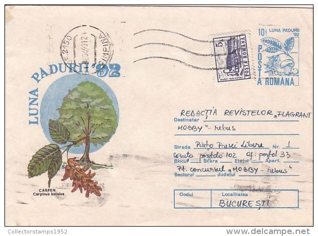 60792- COMMON HORNBEAM, TREE, COVER STATIONERY, 1993, ROMANIA - Bäume