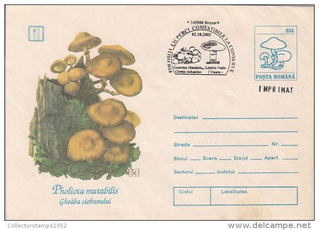 60836- MUSHROOMS, COVER STATIONERY, 2003, ROMANIA - Pilze